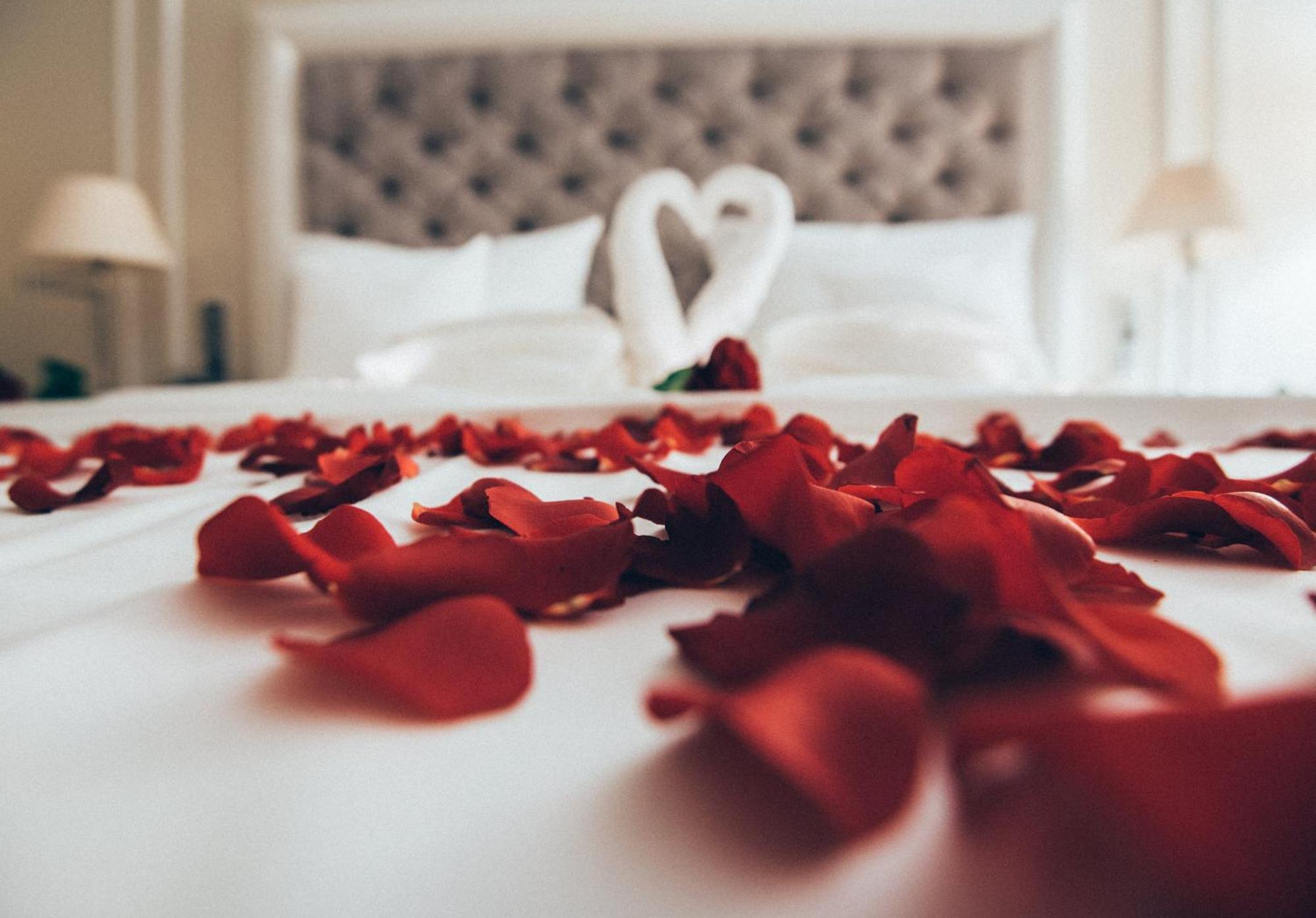 Holiday Inn - The Niu, Flower Konstanz By Ihg Dış mekan fotoğraf