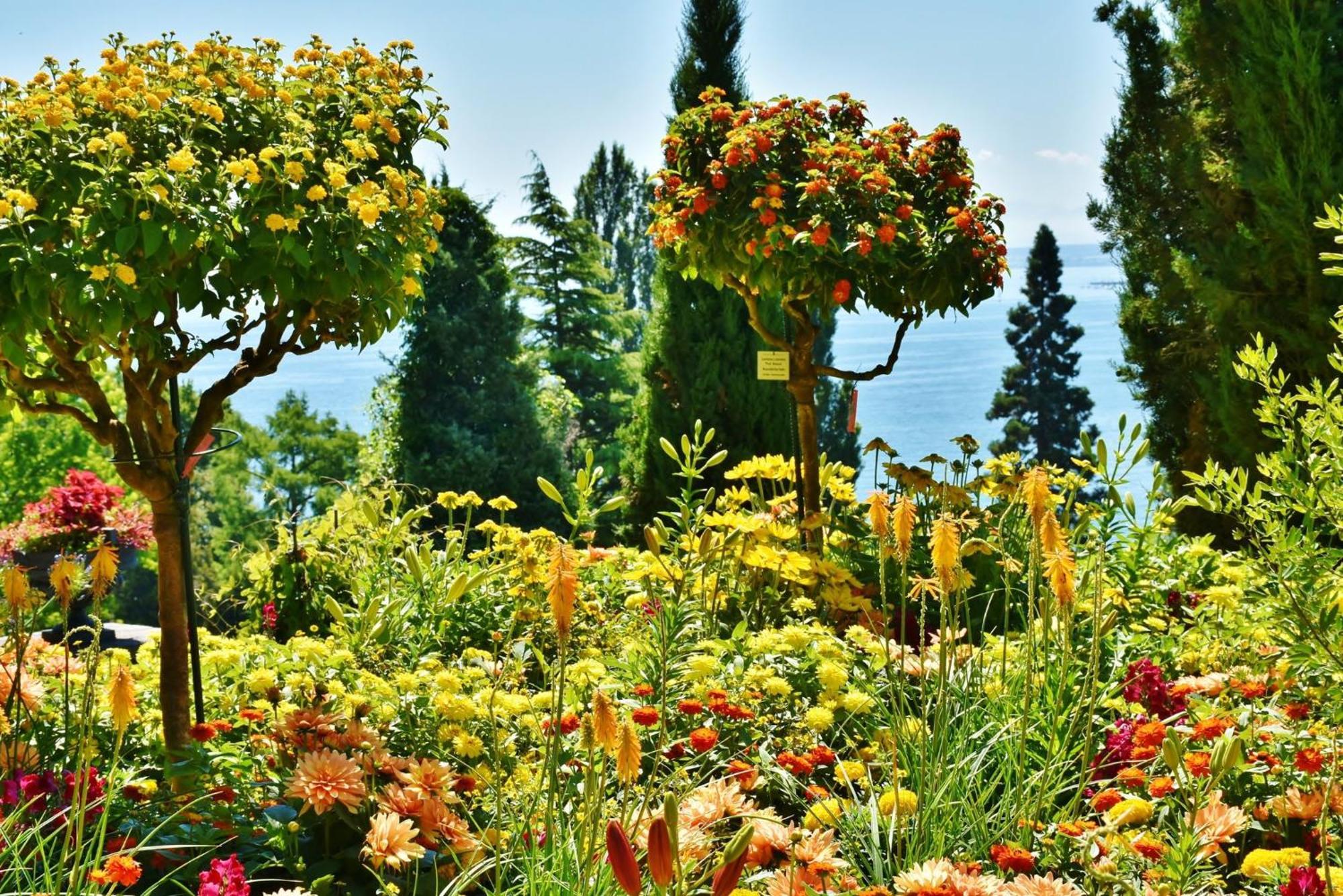 Holiday Inn - The Niu, Flower Konstanz By Ihg Dış mekan fotoğraf